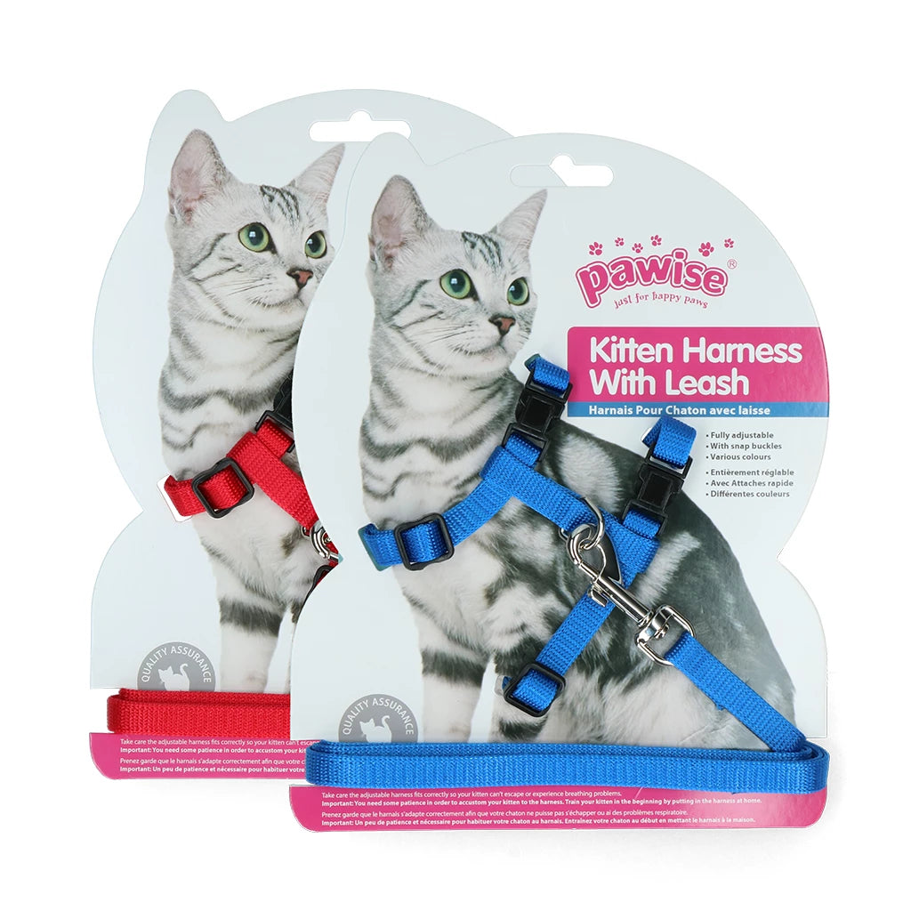 Pawise Kitten Harness With Leash Red/Blue S