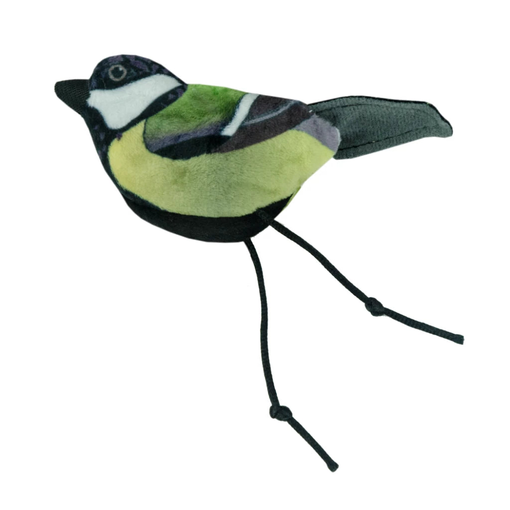 Wild Life Cat Great Tit
