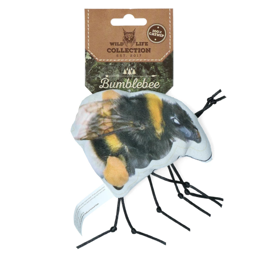 Wild Life Bumblebee Cat